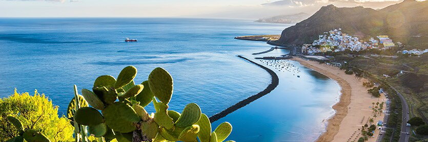 A beach and low white buildings on the Canary Islands coast