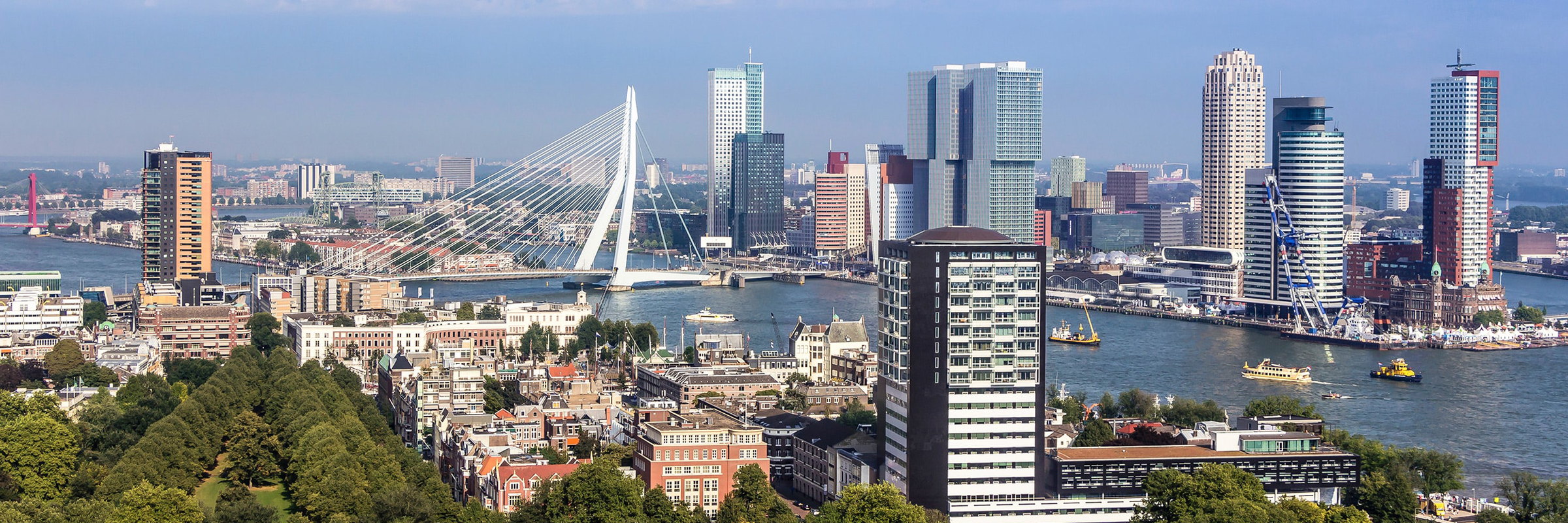 Rotterdam's Erasmus Bridge and skyline across the Nieuwe Maas